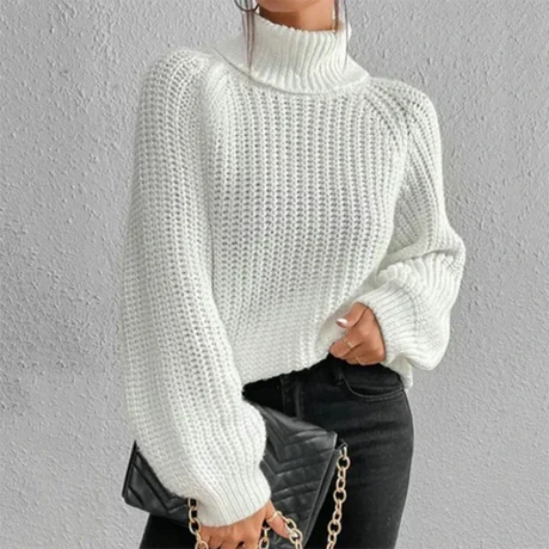 Jaylinn | Stylish Winter Turtle Neck Knitted Sweater For Women